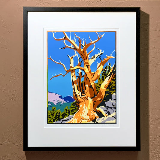 Craig Mitchell bristlecone pine block print
