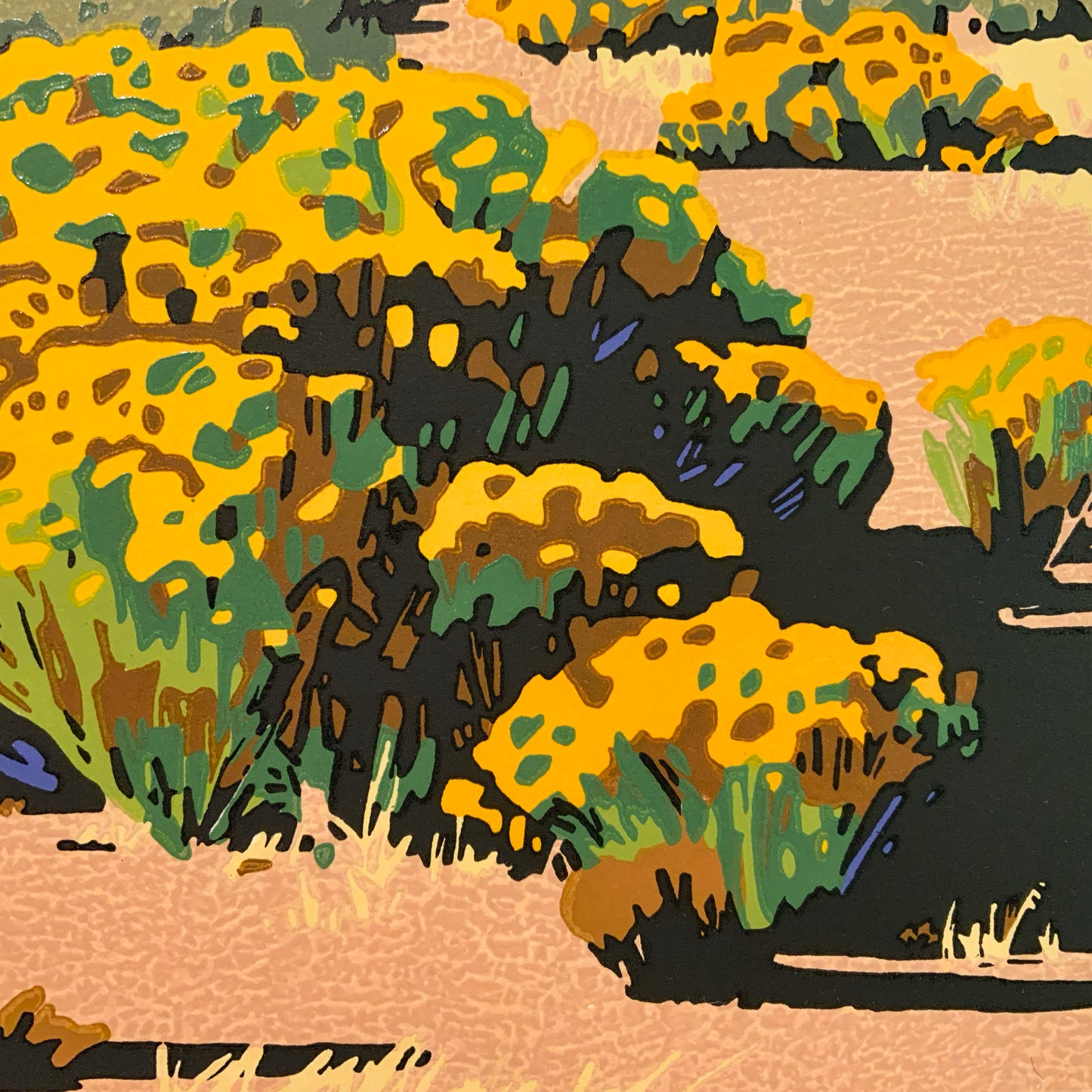 Desert Bloom
