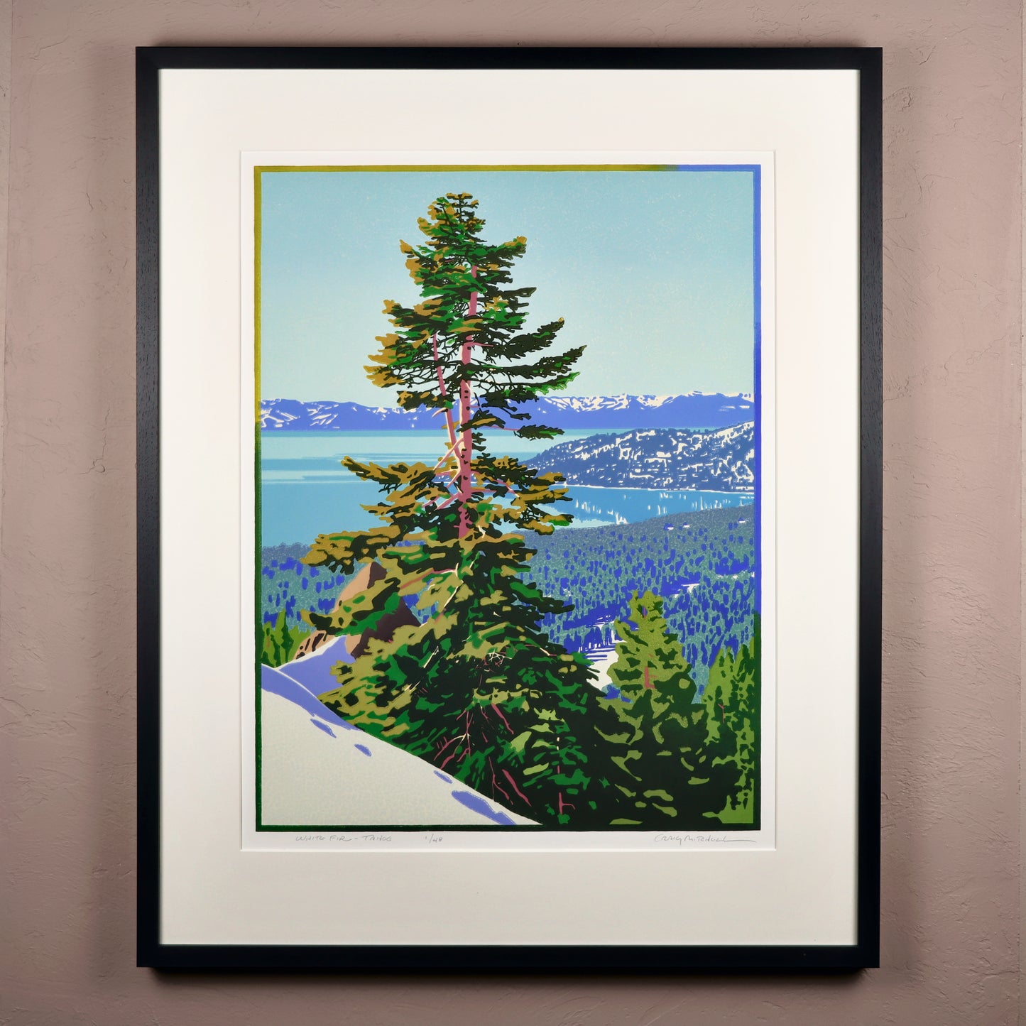 White Fir – Tahoe